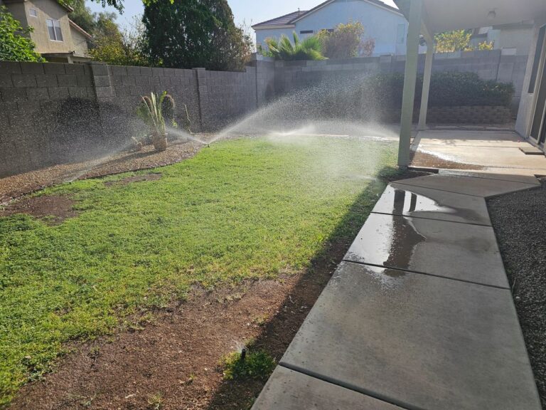 Overwatering Problems at a Vacant Home
