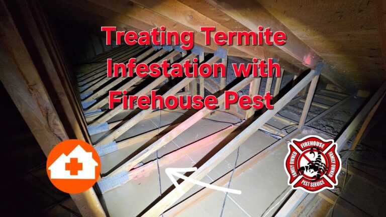 Firehouse Pest Control and Home Inspector Dan reviewing termite damage in Tempe, AZ