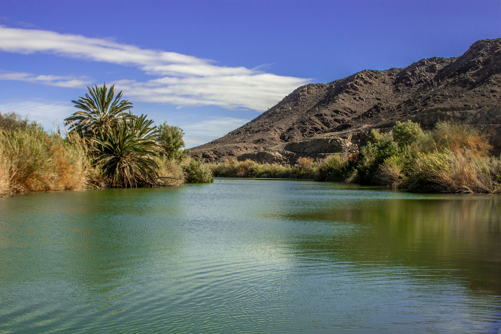 The Colorado River winding through desert hills