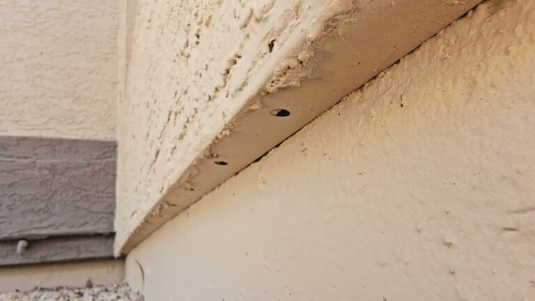 Weep screed at the base of a stucco wall buried under landscaping in Arizona