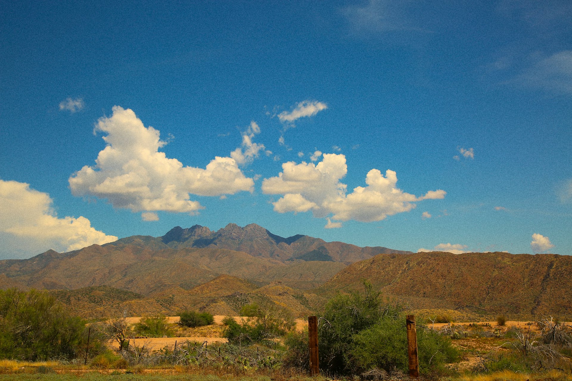 Rolling desert hills and trees in Arizona