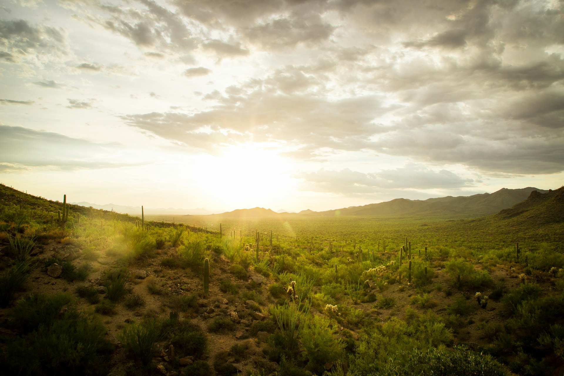 Desert mountains at sunset in southern Arizona