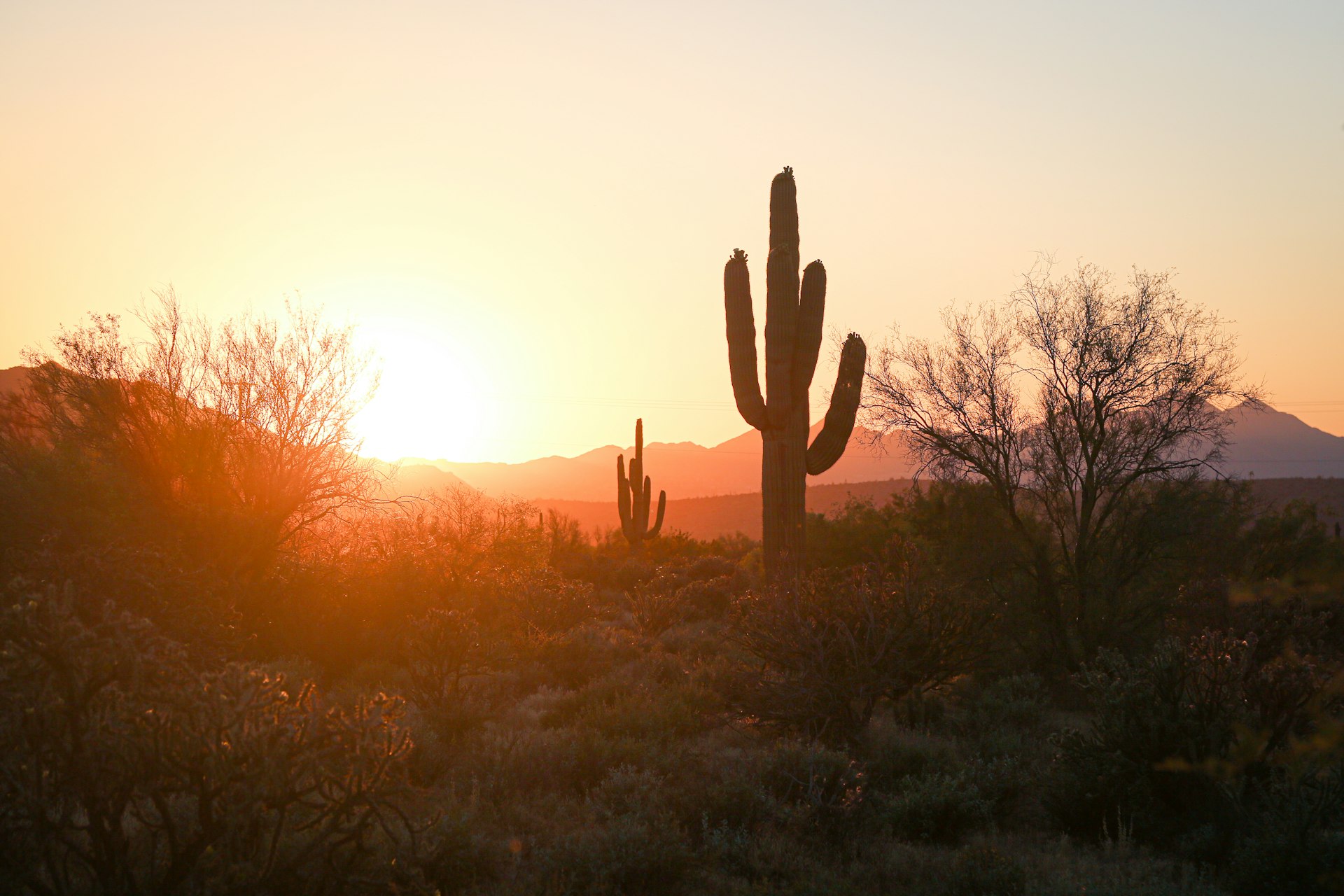 Desert sunset in the Northwest Valley near Surprise, AZ