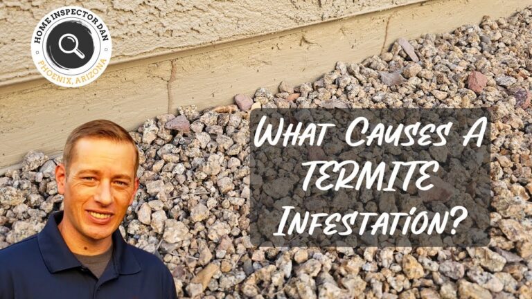 Termite tubes found during an El Mirage, Arizona home inspection by Home Inspector Dan