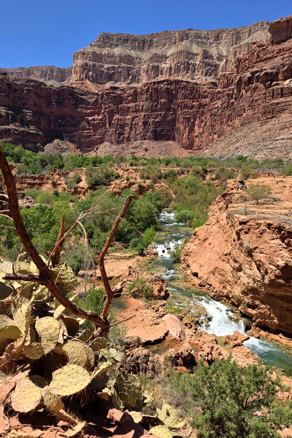 Havasu Creek and red canyon walls on the trail to Supai, Arizona